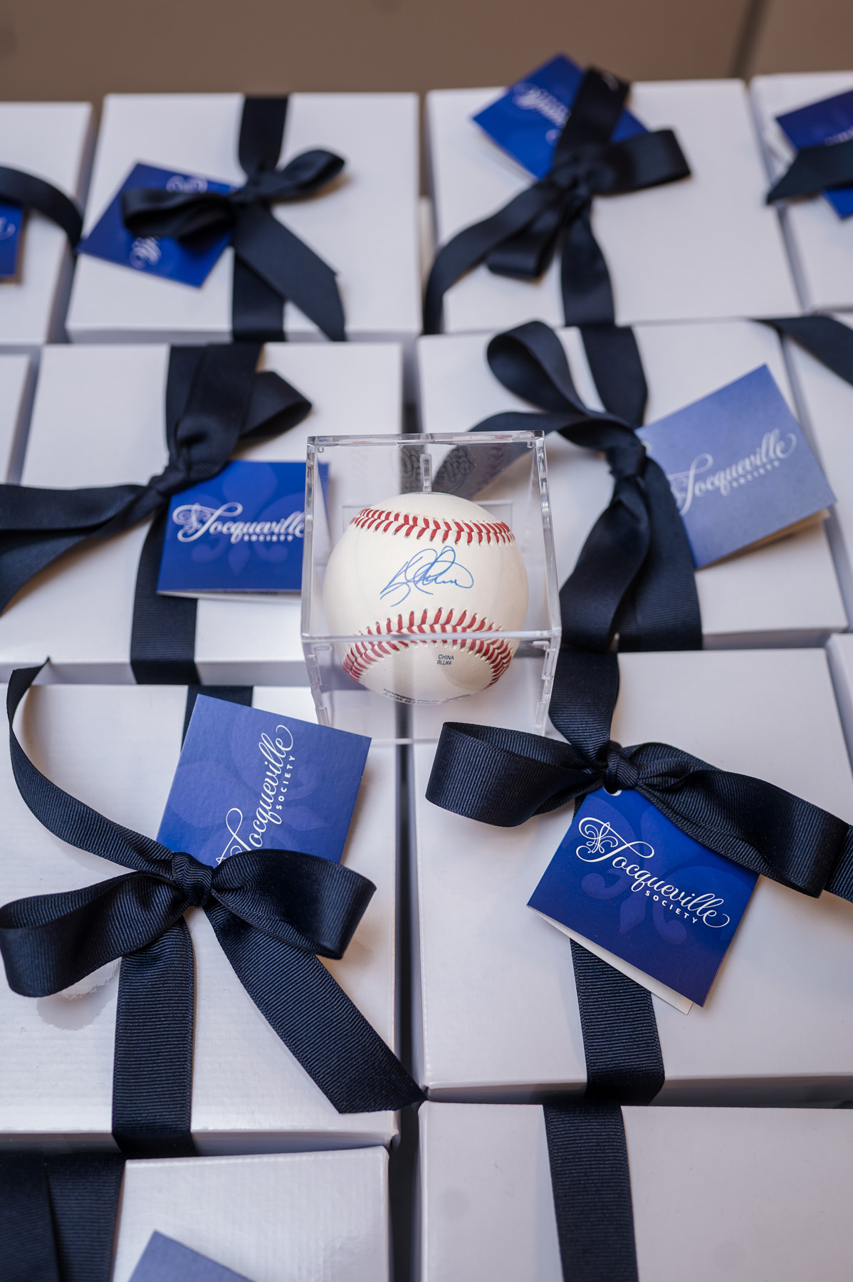 CY2_3310